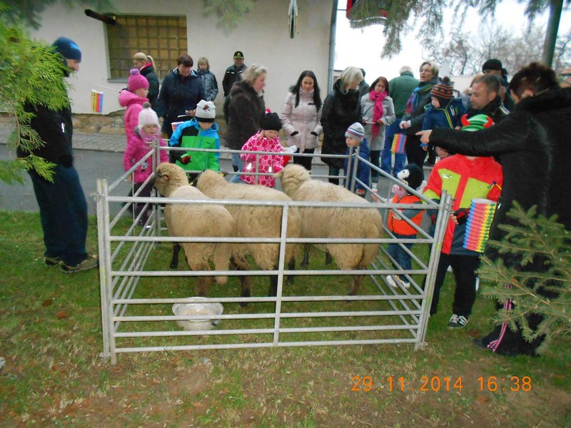 DSCN3363
