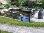 IMG_20160514_141529