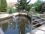 IMG_20160514_141734