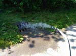 IMG_20180526_101230