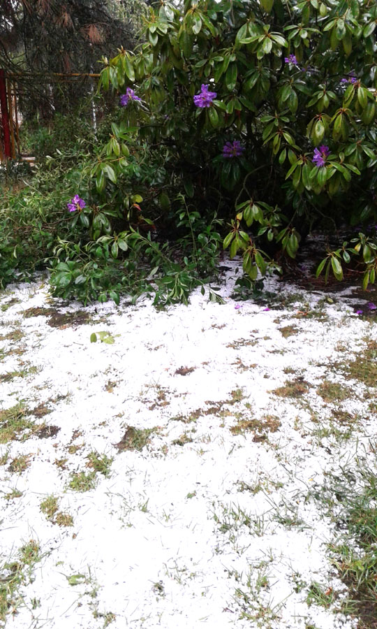 Kroupy kveten 2016 008