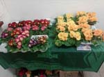 IMG_20190309_172723