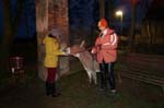 DSC02291